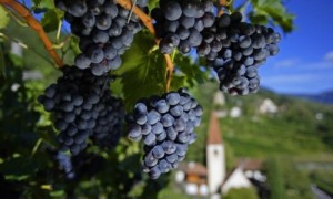 trentino alto-adige