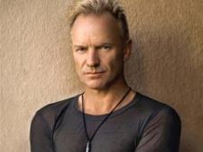 sting vino